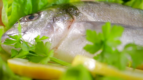 Raw-bream-fish-ready-to-be-cooked