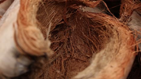 Close--Up-Footage-of-Dried-Coconut-Shell