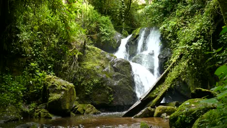 Nahaufnahme-Eines-Wasserfalls-In-Einem-Tropischen-Wald,-Umgeben-Von-üppiger-Vegetation-Und-Moos