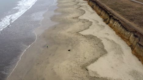 Aerial:-Half-Moon-Bay-Beach-Cliffs-and-Person-Running-on-the-Sand-Beach