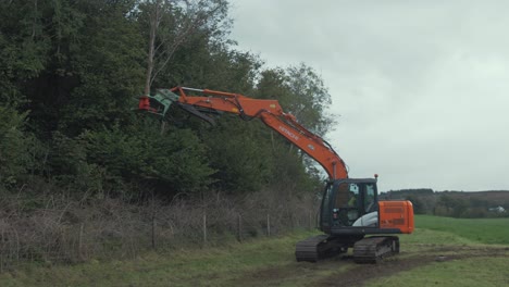 Digger-with-tree-shears-carries-cut-tree-and-drops-it-on-pile-in-field