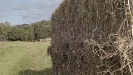 Hay-bales-in-farmers-field-medium-panning-shot