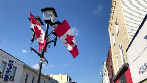 Banderas-Canadienses-En-El-Poste-De-La-Luz-Que-Sopla-En-El-Viento