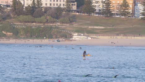 Person-on-SUP-in-Ocean-Bay-of-North-Bondi-Beach-in-Sydney,-Australia