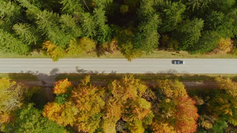 Aerial-autumn-street-view---top-shot-drone-footage-zooming-in-at-a-straight-road,-leading-through-a-forest-framed-by-fall-colored-trees-at-a-sunny-day