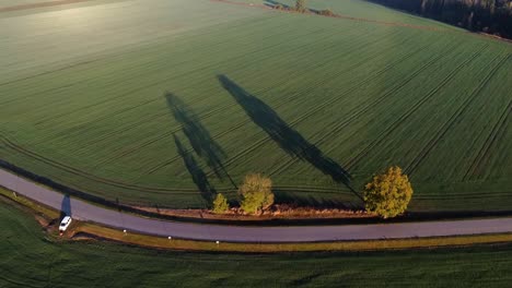 Drone-flying-over-a-small-country-road-with-green-farming-fields-and-beautilfu-shadows-of-the-trees-and-white-car-parked-near-the-road
