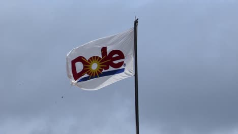 Dole-logo-flag-on-top-of-the-main-building-at-Dole-Plantation-in-Oahu,-Hawaii