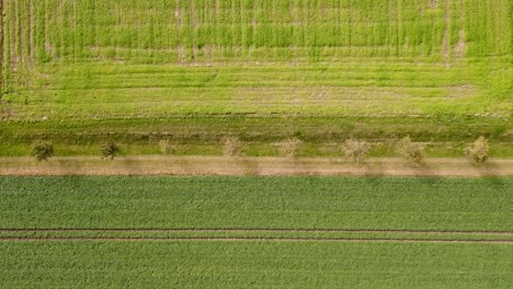 Agricultures-lines