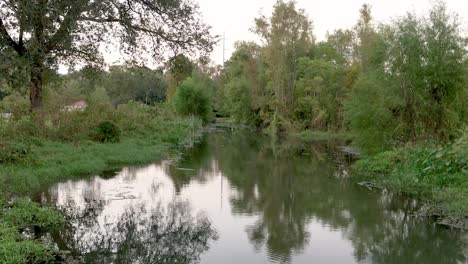 Louisiana-Wetland-Sumpfteich-Mitten-Im-Stadtpark
