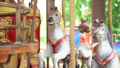 Close-up-shot-of-white-carousel-horses-in-an-amusement-park