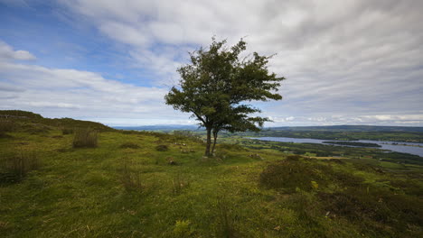 Zeitraffer-Der-Ländlichen-Und-Abgelegenen-Landschaft-Aus-Gras,-Bäumen-Und-Felsen-Während-Des-Tages-In-Den-Hügeln-Von-Carrowkeel-In-Der-Grafschaft-Sligo,-Irland