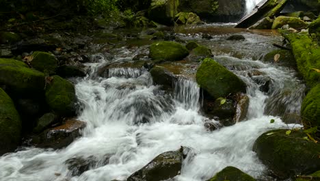Wild-Mountain-River-Close-Up-Plenty-Clear-Stream