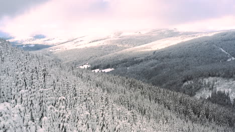 Riesiger-Nadelbergwald-Unter-Schnee-Im-Winter,-Tschechien,-Sonnenuntergang
