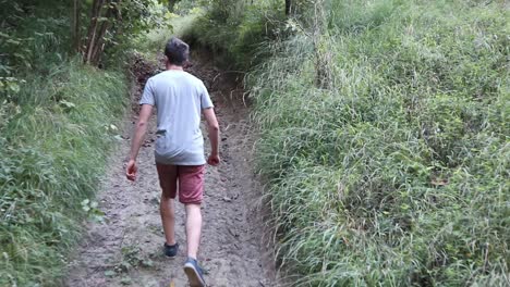 A-man-walks-on-a-footpath-in-forest,-daytime,-summer-season