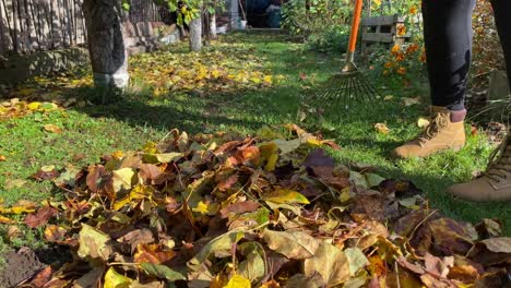 Sweeping-dry-leaves-in-messy-autumn-fall-season-garden