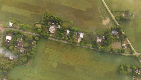 Birds-eye-view-of-village-surrounded-by-green-paddy-fields-in-Assam,-India