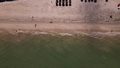Zentralansicht-Des-Strandes-In-Yucatan,-Mexiko