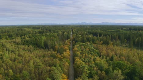 Wonderful-aerial-view-over-a-wide-green-forest-with-a-street-leading-through-the-trees-and-the-alp-mountains-at-the-background-horizon