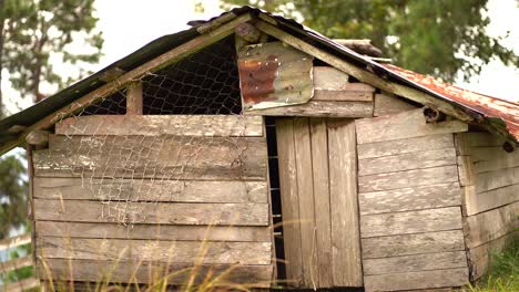 Old-wooden-abandoned-shack.-Abandoned-barn