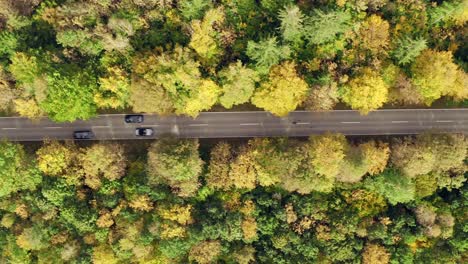 Following-a-car-driving-through-a-beautiful-autumn-colored-forest-as-a-top-shot-from-above-by-a-drone