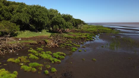 Low-forward-aerial-of-green-nature-and-sand-banks-by-La-Plata-River