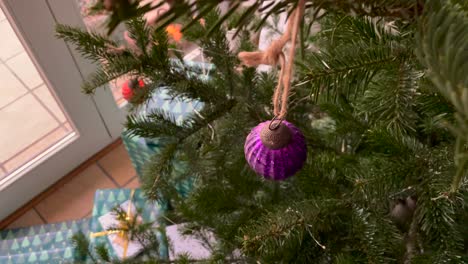 Slow-steady-forward-shot-of-purple-hanging-christmas-ball-in-on-branch-of-fir-and-many-gifts-on-the-ground