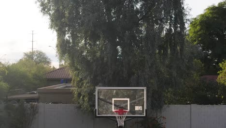 Backyard-Outdoor-Basketball-Hoop-and-Court