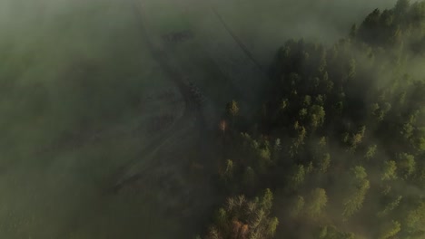 Rural-European-countryside-with-mythical-mist-covering-landscape,-aerial