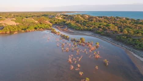 Flug-über-Die-Mangroven-Und-Dünen-Von-Bani-An-Sonnigen-Tagen-Mit-Blick-Auf-Den-Sand-Und-Das-Blaue-Meer,-Aufgenommen-Mit-Drohne