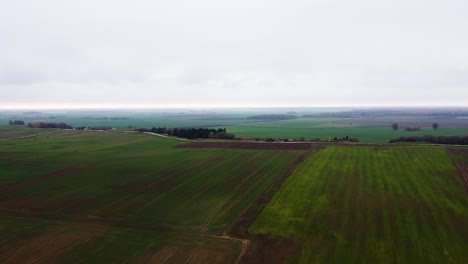 Flying-over-Lithuania's-flatland-with-beautiful-green-agricultural-fields