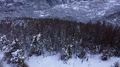 Winterlandschaft,-Schöne-Luftaufnahmen