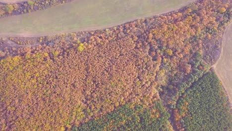 Aerial-drone-shot-part-3-of-a-forest-on-a-hill-in-a-rural-area-in-Hungary