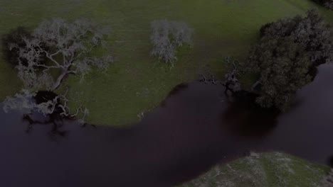 Drone-looks-straight-down-flying-above-a-small-body-of-water