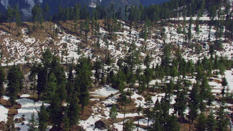 Pine-forest-and-village-at-snow-mountain-aerial-view