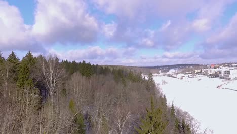 Aerial-view-while-flying-over-a-forest-and-frozen-lake-in-winter