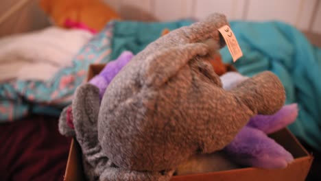 Stuffed-animals-packed-into-box