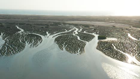 Muddy-zone,-at-the-end-of-a-30-km-long-bay,-channels-formed-by-the-tides