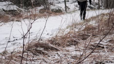 Misterioso-Caminante-Que-Pasa-Por-Un-Sendero-Forestal-Cubierto-De-Nieve