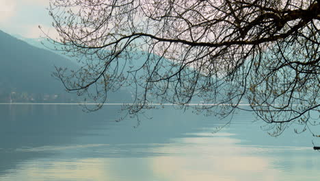 Lake-Tegernsee-on-a-moody-spring-day,-with-tree-branches-in-the-frame-and-a-black-coot-swimming-below