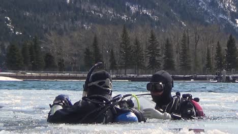 Spring-ice-doesn’t-stop-hardy-divers