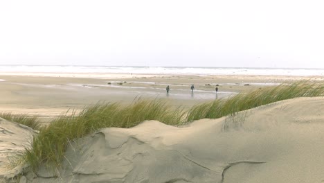 Serie-of-shots-windy-Winter-holliday-in-the-Netherlands-on-the-Dutch-Beach-Island-Terschelling