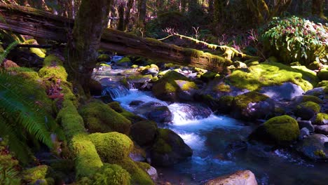 Water-cascading-over-moss-covered-rocks-in-the-forest-on-a-warm-spring-day,-slow-motion