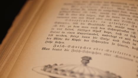 Old-fashioned-German-cookbook-and-its-foods-descriptions
