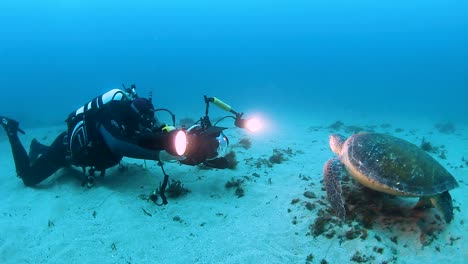 Ein-Unterwasserkameramann-Mit-Lichtern,-Der-Eine-Schildkröte-Für-Ein-Dokumentarprogramm-Filmt