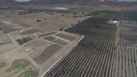 Aerial-shot-of-a-hotel-in-a-vineyard-in-the-Valle-de-Guadalupe