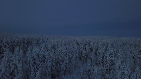 Die-Gefrorene-Winterlandschaft-Von-Hanhimaa-In-Finnland