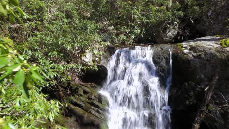 Fliegen-Sie-Durch-Die-Rhododendren-Und-Entdecken-Sie-Einen-Versteckten-Wasserfall-Entlang-Des-Kamms-Der-Blue-Ridge-Mountains