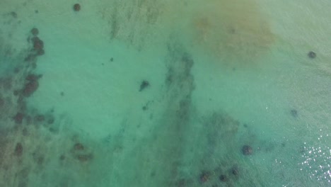 Aerial-shot-of-turquoise-Hawaiian-waters-of-Kawela-Bay-Beech-Park-near-the-Turtle-Bay-Resort