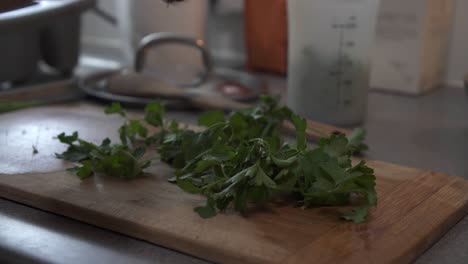 Close-Up-of-a-Chef-preparing-Parsley-for-a-recipe