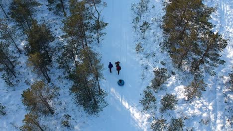 drone-shot-of-family-walking-in-the-forest